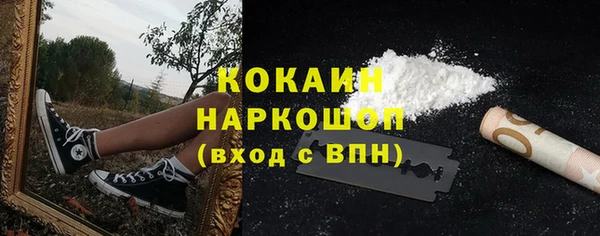 2c-b Каменка