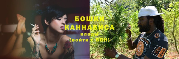 2c-b Каменка