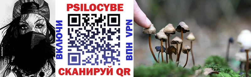 Галлюциногенные грибы прущие грибы  Купить  Знаменск 